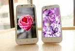 3 dế yêu khiến teen phải 'đập lợn'